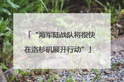 “海军陆战队将很快在洛杉矶展开行动”