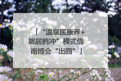 “温泉医康养+旅居腾冲”模式借南博会“出圈”