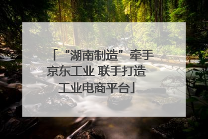 “湖南制造”牵手京东工业 联手打造工业电商平台