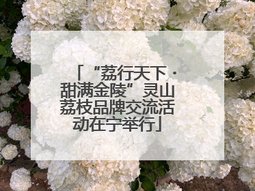 “荔行天下・甜满金陵”灵山荔枝品牌交流活动在宁举行