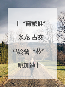 “育繁推”一条龙 古交马铃薯“芯”跳加速