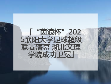 “茵浪杯”2025襄阳大学足球超级联赛落幕 湖北文理学院成功卫冕