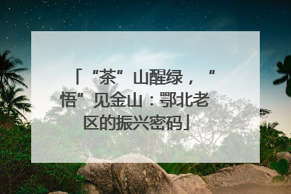 “茶”山醒绿，“悟”见金山：鄂北老区的振兴密码