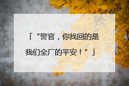“警官，你找回的是我们全厂的平安！”