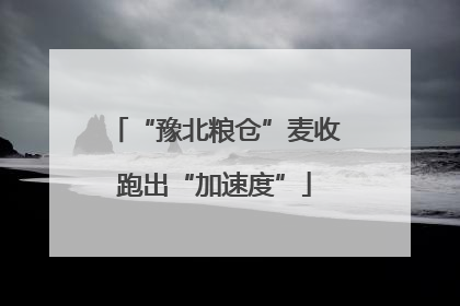 “豫北粮仓”麦收跑出“加速度”