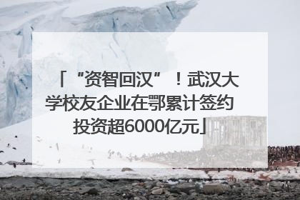 “资智回汉”！武汉大学校友企业在鄂累计签约投资超6000亿元