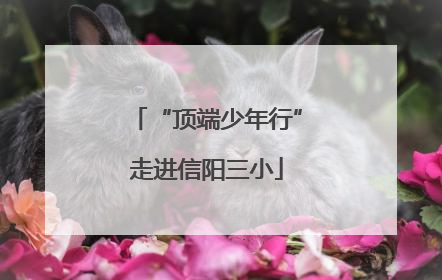 “顶端少年行”走进信阳三小