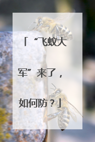 “飞蚁大军”来了，如何防？