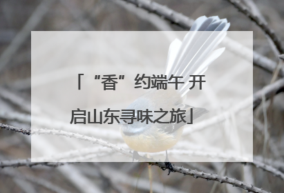 “香”约端午 开启山东寻味之旅