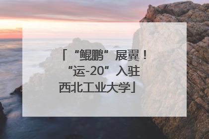 “鲲鹏”展翼！“运-20”入驻西北工业大学