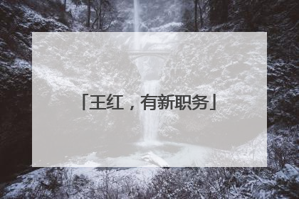 王红，有新职务