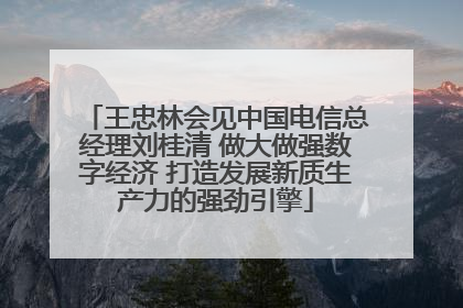 王忠林会见中国电信总经理刘桂清 做大做强数字经济 打造发展新质生产力的强劲引擎