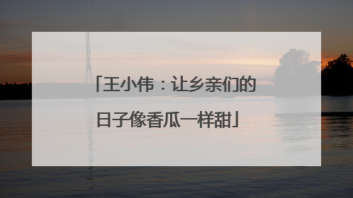 王小伟：让乡亲们的日子像香瓜一样甜