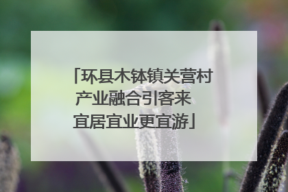 环县木钵镇关营村 产业融合引客来 宜居宜业更宜游