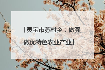 灵宝市苏村乡：做强做优特色农业产业