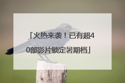 火热来袭！已有超40部影片锁定暑期档