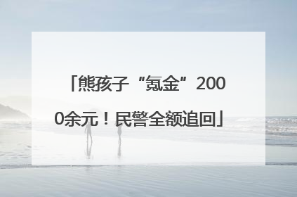 熊孩子“氪金”2000余元！民警全额追回