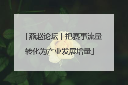 燕赵论坛丨把赛事流量转化为产业发展增量