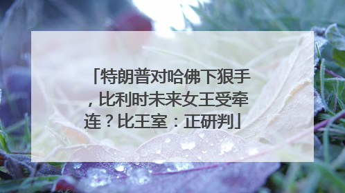 特朗普对哈佛下狠手，比利时未来女王受牵连？比王室：正研判