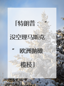 特朗普：“没空理马斯克” 欧洲抛橄榄枝