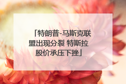 特朗普-马斯克联盟出现分裂 特斯拉股价承压下挫