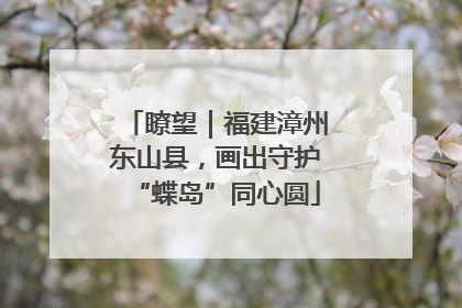 瞭望｜福建漳州东山县，画出守护“蝶岛”同心圆