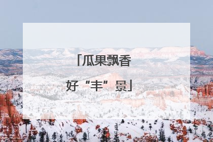 瓜果飘香 好“丰”景