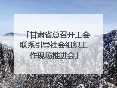 甘肃省总召开工会联系引导社会组织工作现场推进会