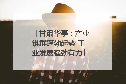 甘肃华亭：产业链群蓬勃起势 工业发展强劲有力