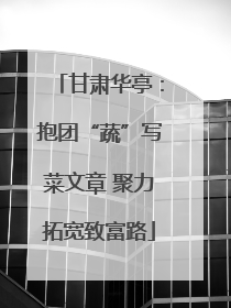 甘肃华亭：抱团“蔬”写菜文章 聚力拓宽致富路