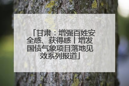 甘肃：增强百姓安全感、获得感丨增发国债气象项目落地见效系列报道
