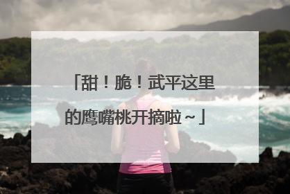 甜！脆！武平这里的鹰嘴桃开摘啦～
