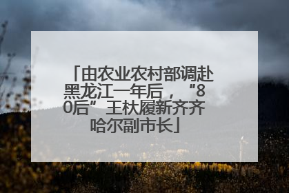 由农业农村部调赴黑龙江一年后，“80后”王杕履新齐齐哈尔副市长