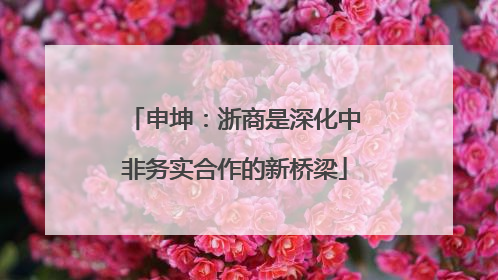 申坤：浙商是深化中非务实合作的新桥梁