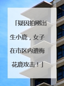疑因拍刚出生小鹿，女子在市区内遭梅花鹿攻击！