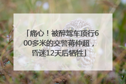痛心！被醉驾车顶行600多米的交警蒋仲超，昏迷12天后牺牲