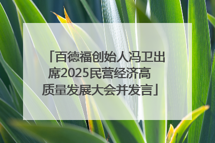 百德福创始人冯卫出席2025民营经济高质量发展大会并发言