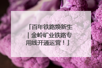 百年铁路焕新生｜金岭矿业铁路专用线开通运营！