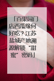 百果园门店西瓜缘何好吃？江苏盐城产地溯源解锁“甜蜜”密码