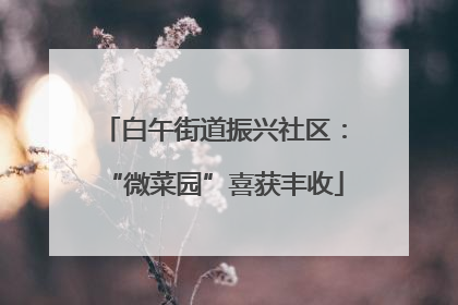 白午街道振兴社区：“微菜园”喜获丰收