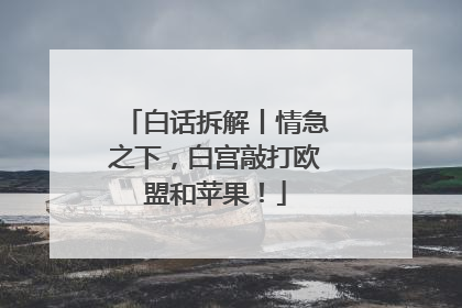 白话拆解丨情急之下，白宫敲打欧盟和苹果！
