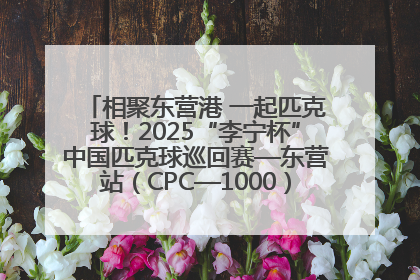 相聚东营港 一起匹克球！2025“李宁杯”中国匹克球巡回赛—东营站（CPC—1000）暨“好运山东”黄河口匹克球公开赛落幕
