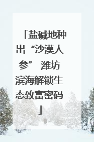 盐碱地种出“沙漠人参” 潍坊滨海解锁生态致富密码
