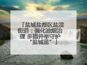 盐城盐都区盐渎街道：强化油烟治理 多措并举守护“盐城蓝”
