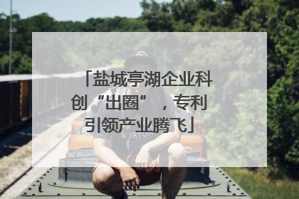 盐城亭湖企业科创“出圈”，专利引领产业腾飞