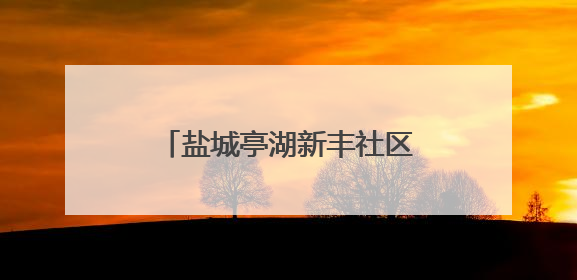盐城亭湖新丰社区：粽香传情迎端午 共建共享促和谐