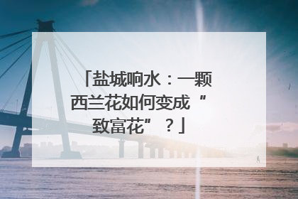 盐城响水：一颗西兰花如何变成“致富花”？