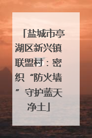 盐城市亭湖区新兴镇联盟村：密织“防火墙”守护蓝天净土