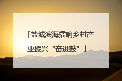 盐城滨海擂响乡村产业振兴“奋进鼓”