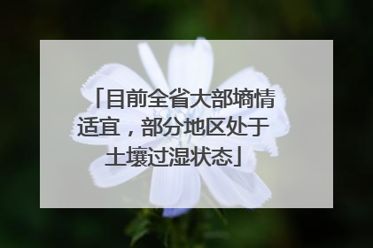 目前全省大部墒情适宜，部分地区处于土壤过湿状态